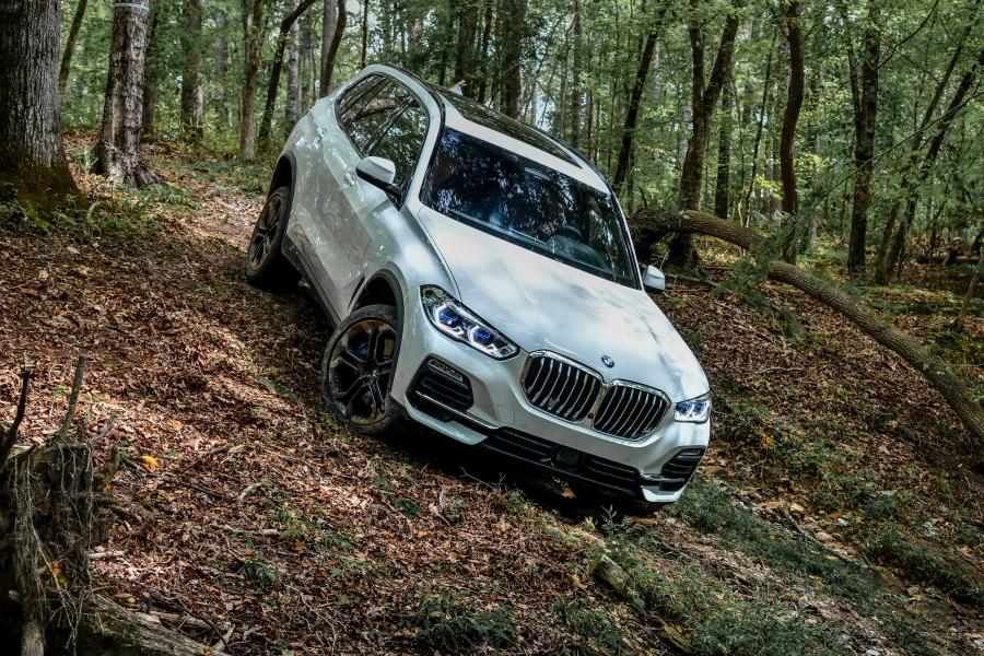  BMW X5 xDrive40i (G05) 2018 года  (WW) (фото 16 из 48)